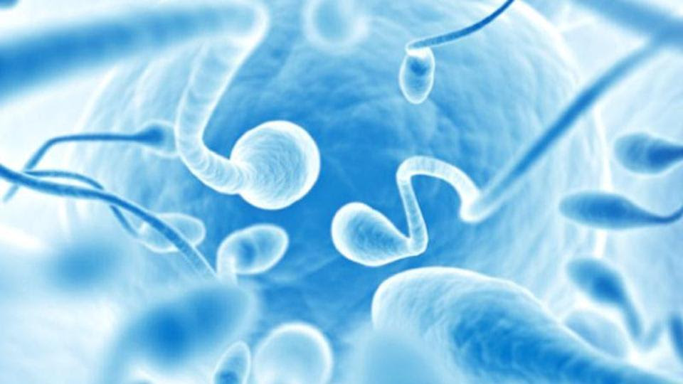 Male contraceptive