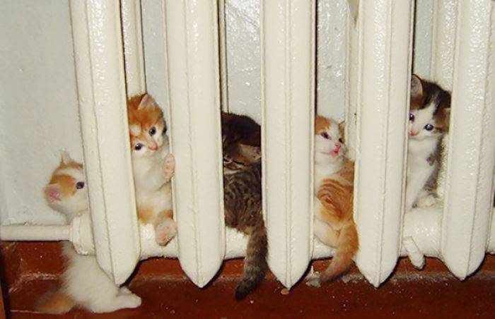 Warm Spot