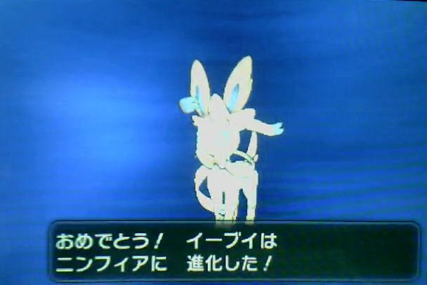 ポケモンxy ニンフィアの進化方法とポケパルレの仲良し上げ方 ポケモン剣盾 ソードシールド 攻略 最新情報 Pokemon Times