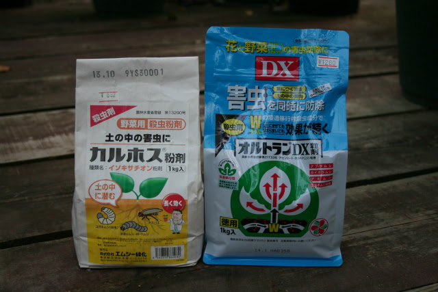 まつおえんげいスタッフブログ ネキリムシ コガネムシの幼虫対策