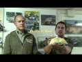 Come fare le Boilies - Mix