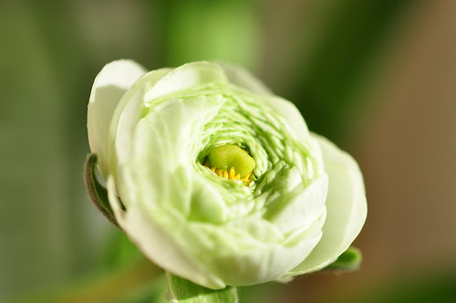 20110122_50