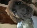 20090713182934
