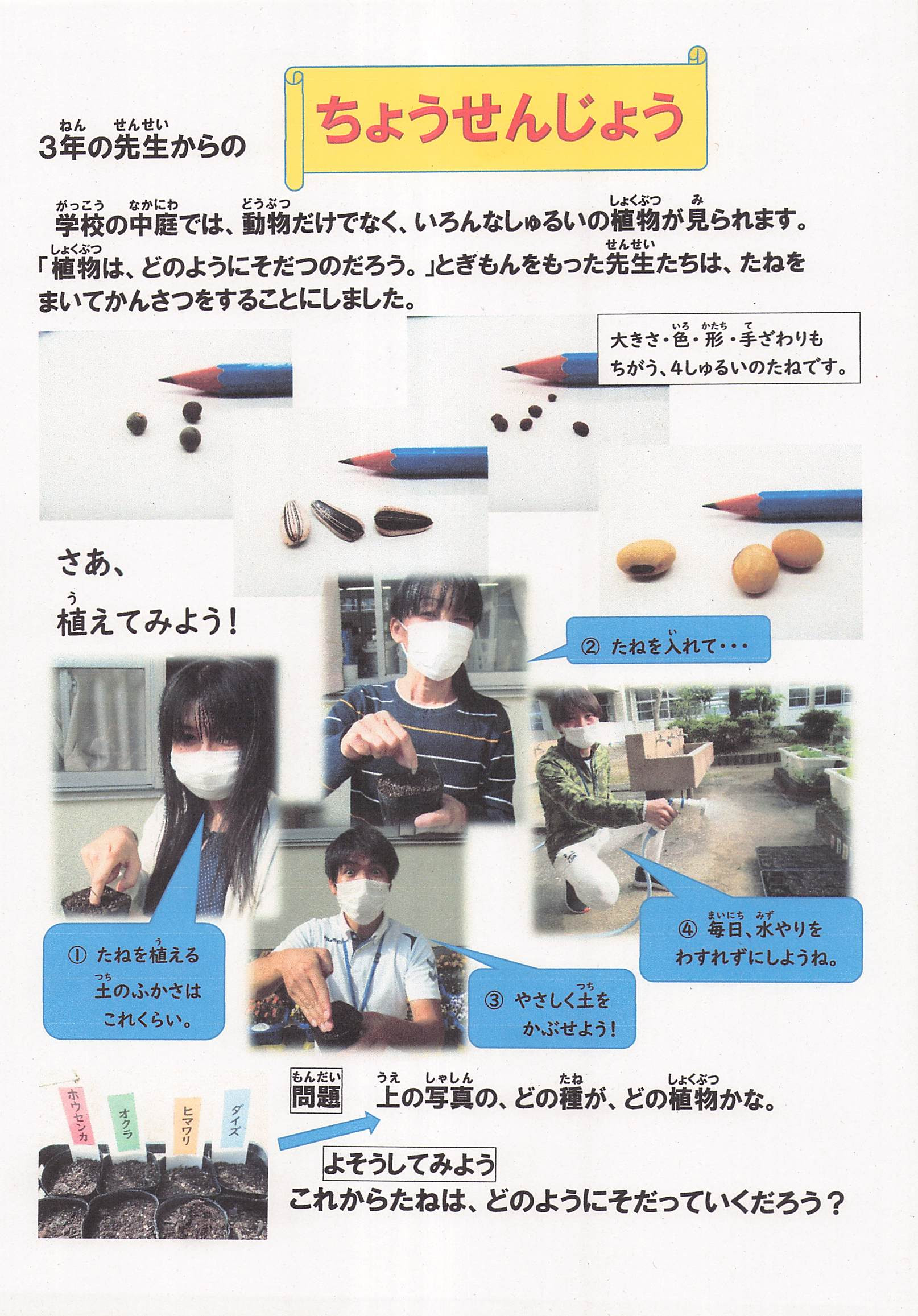 先生からのメッセージ