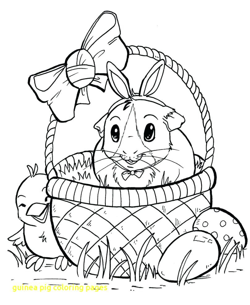 Guinea Pig Coloring Pages at GetColorings.com | Free ...