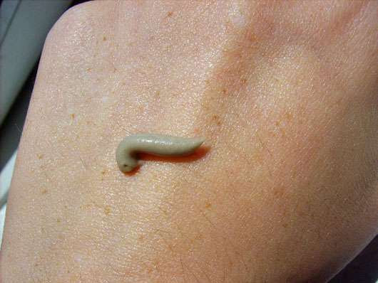 BIOMED Pure Entgiftungsmaske