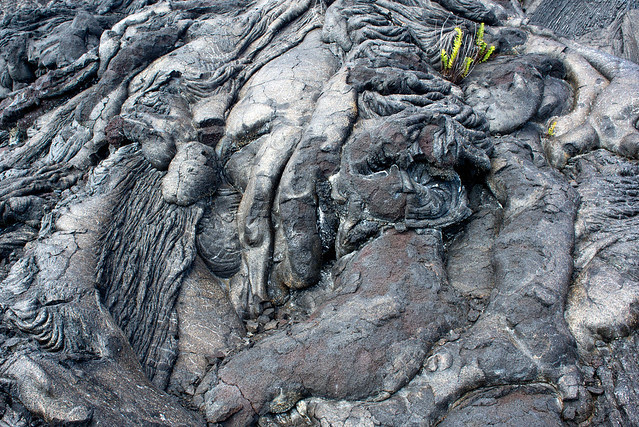 Volcano National Park