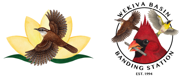 Wekiva Basin Bird Banding