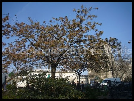 P2680427
