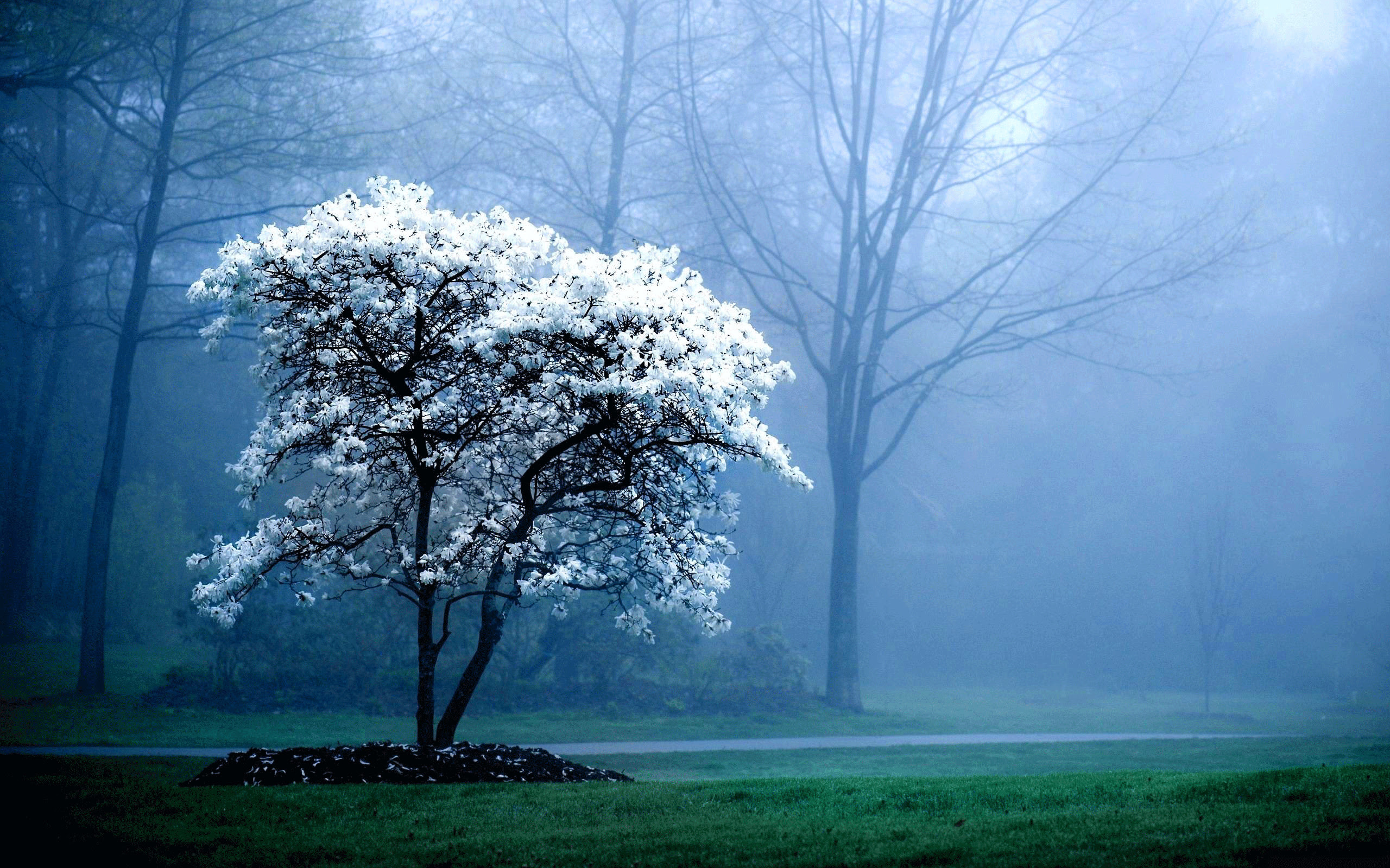 Pc  Desktop  Wallpaper  HD  64 images 