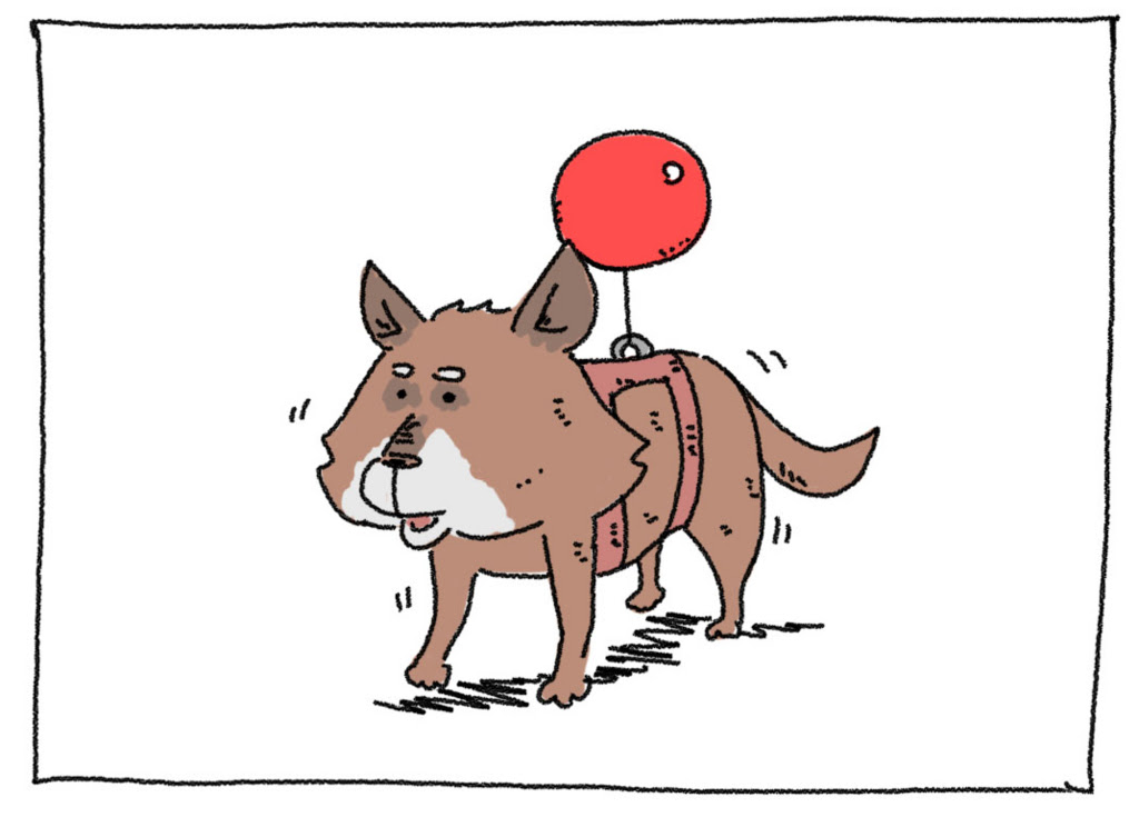 あったら大人気まちがいなしの老犬介護グッズ 風船付きハーネス ありんとこ