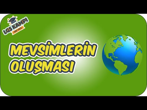 Resim