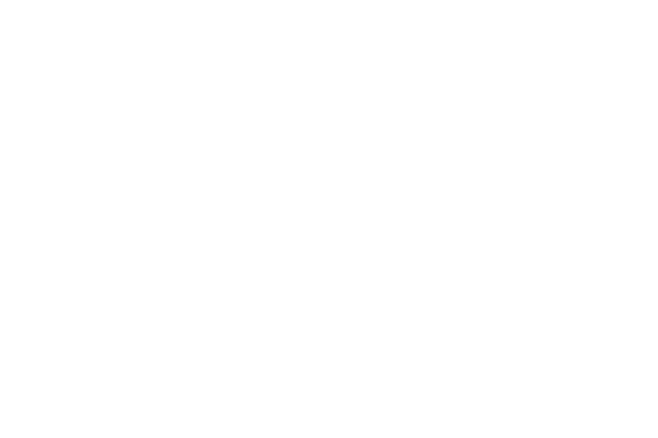 直線レースのフリー素材 レース素材専門サイト Da Lace ダ レース