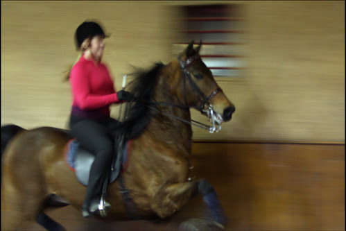 happy horse happy girl