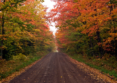 Minnesota Fall Colors Deeproot Blog HD Wallpapers Download Free Images Wallpaper [wallpaper896.blogspot.com]