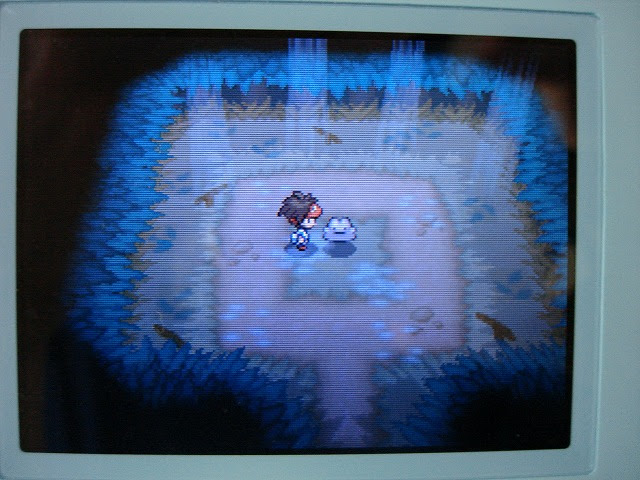 ｂｗ２ ６ｖメタモンの乱数調整 固定シンボル エルスの日記