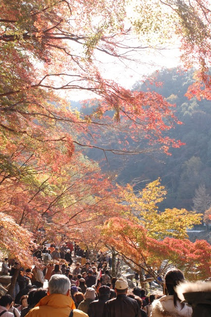 Drive to Gifu, Korankei