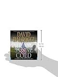 Stone Cold (Camel Club Series)