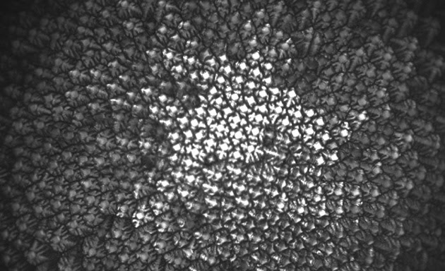 A frozen alloy grown in space