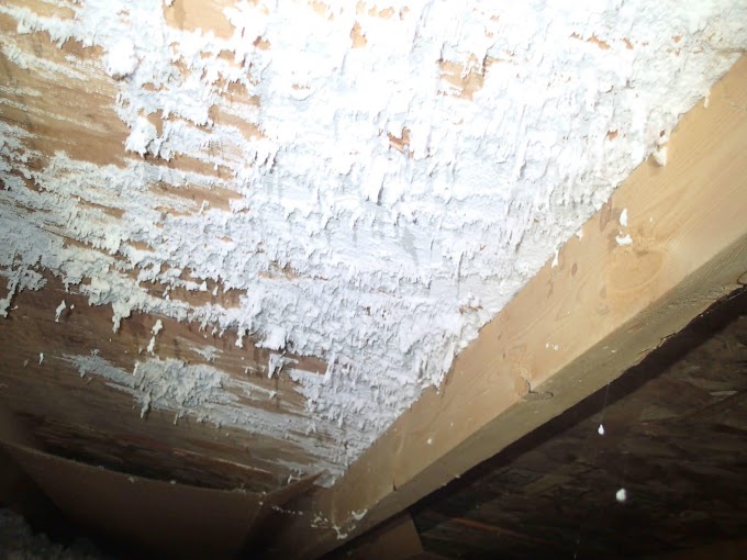 Mold In Attic After New Roof / Indoor Mold Wikipedia : Attic mold, left unchecked, can grow and lead to structural deterioration of attic sheathing and roof structural elements.