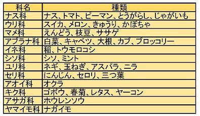 連作障害に注意 障害者の脱サラ農業日記