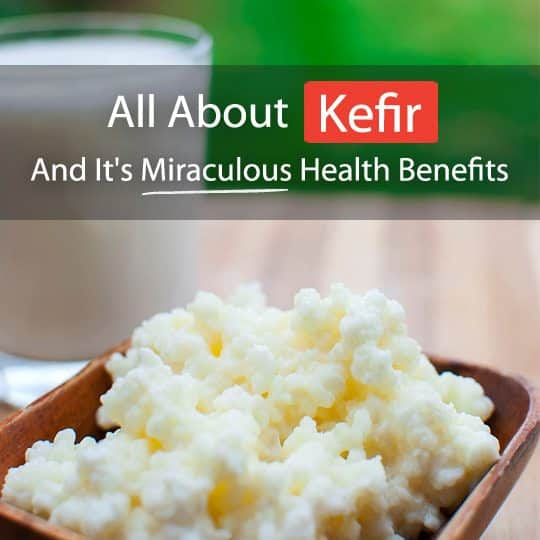 Kefir is one of the most potent probiotics around. Read on to find out how to make it, its numerous health benefits and some easy recipes!