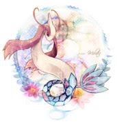 ポケモン ミロカロス Pixiv年鑑 B