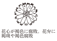 花卉病害虫 ガーベラの絵目次
