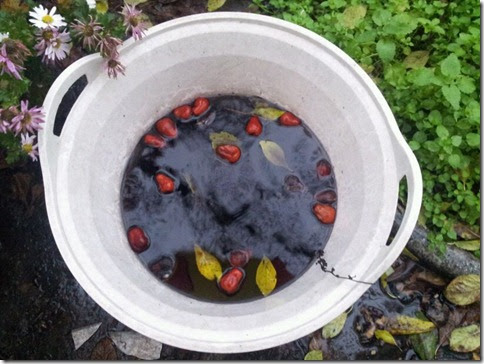 Olimpiadi invernali del 2026