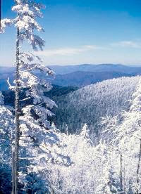 Winter Adventure in the Smokies