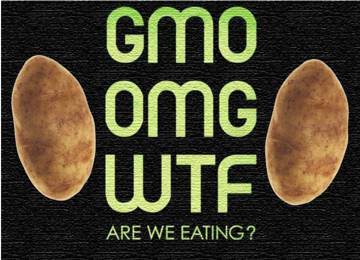 gmo potatoes