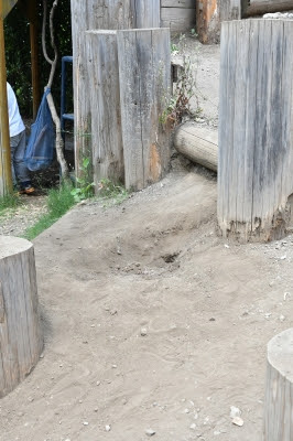 ただ 穴を掘る 八朗園長の 遊びをせんとや生まれけむ