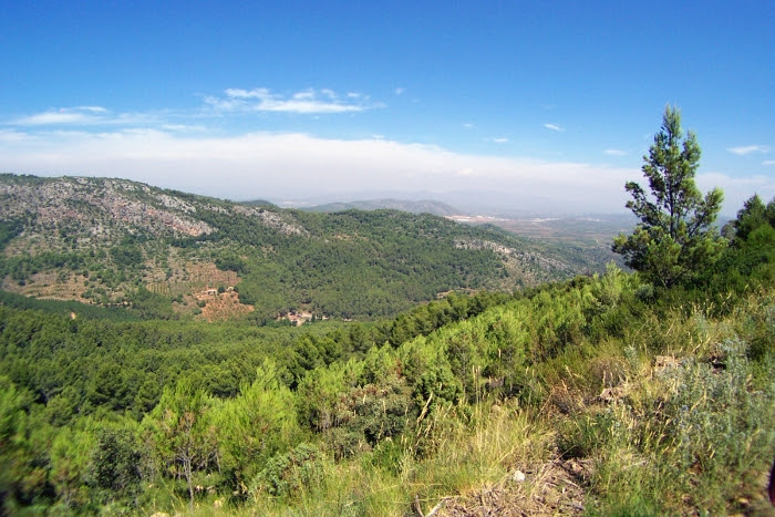 EPOCaminaCastellón, paseos llenos de vida