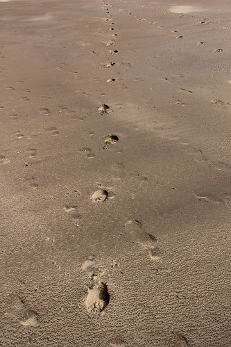 i follow the footsteps of fools ... by firoze shakir photographerno1