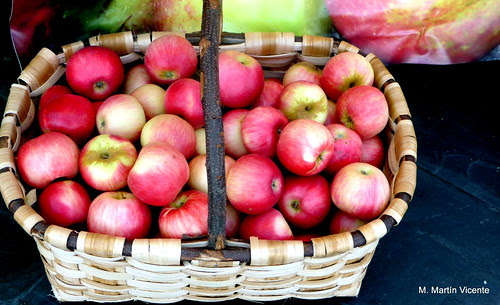 Como manzanas en cesta de castaño