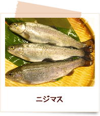 養殖について 八ツ峰養魚
