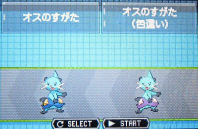 テトのひだまり日記 色違いポケモン