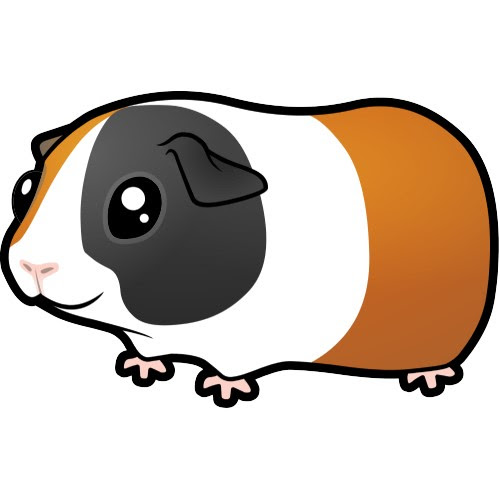 Guinea pigs related clipart - Clipground
