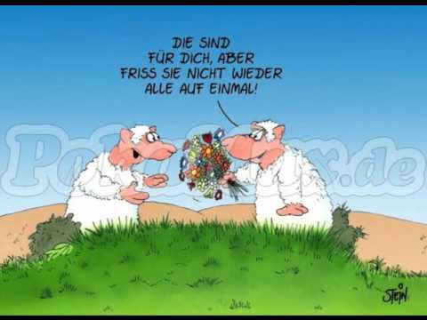 glückwünsche zum 50. geburtstag zitate