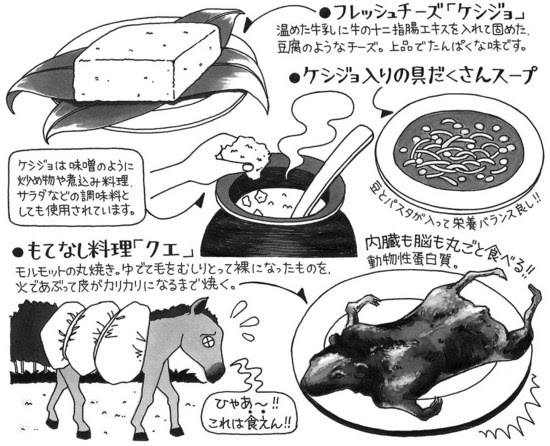 イラストレーター 斉藤ヨーコ 料理イラスト リアルイラスト イラストルポ イラストマップ 52