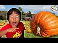 New video by Ryan's World on YouTube