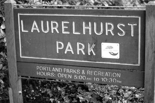 Laurelhurst Park