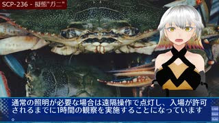 Scp 249 どこだかドア Nicozon