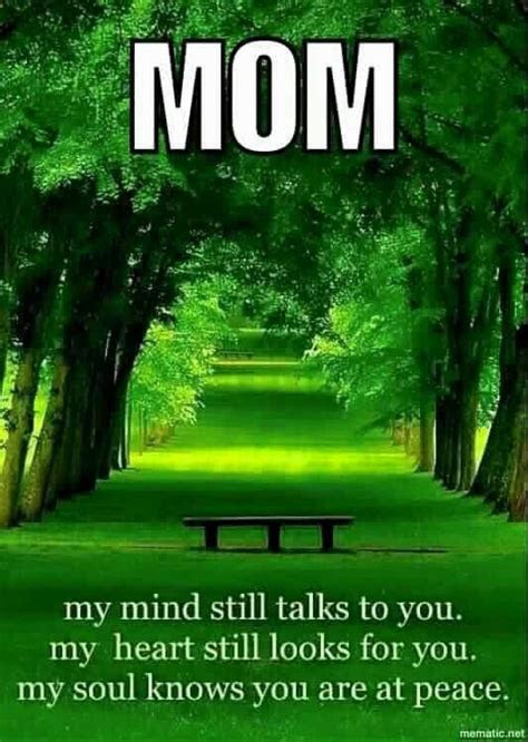 · i am just a person . Eulogy For Mother(Mom) From Son Or Daughter