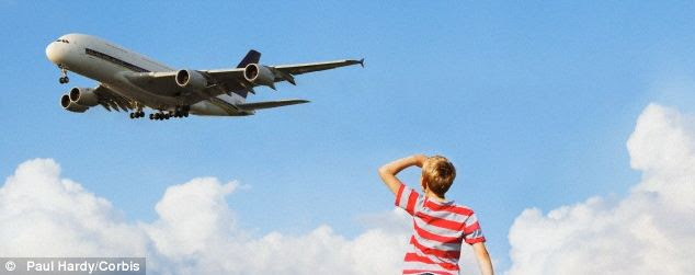 The findings suggest that policymakers need to consider more than carbon emissions in discussions about how to make aviation (illustrated) less environmentally damaging