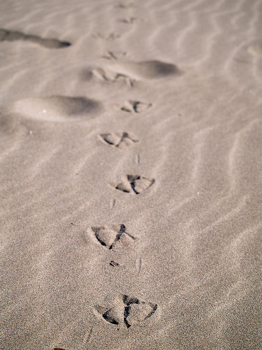 Marcher droit