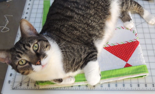 Claiming the almost finished quilt