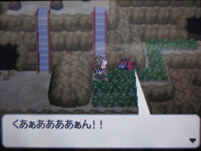 非公式情報 ポケットモンスター ブラック2 ホワイト2に深刻なバグがあるようです 有栖のポケモン日記