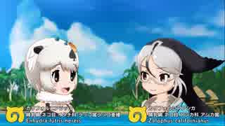 日清のどん兵衛 けものフレンズ ふっくらしない Nicozon