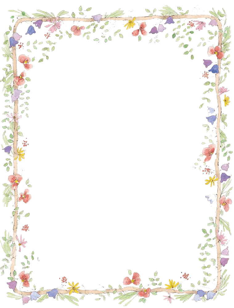 Flowers Frame Colours transparent PNG - StickPNG